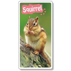 �t�H�g�W���C�V�[���@�t�@�j�[�J���p�j�[ ���X 800�~400mm�@�C���[�W�A�b�v�p�i 915-45