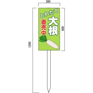 �卪�A�V�N��؂̔̔����i�Ŕ@600�~300mm�@�ؐ��x���t�\����