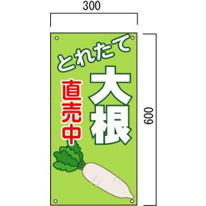 �卪�A�V�N��؂̔̔����i�Ŕ@600�~300mm