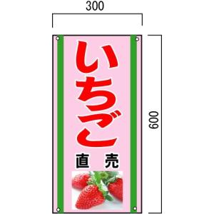 �u�������v�̔̔����i�Ŕ@�ʕ������Ŕ@600�~300mm�@