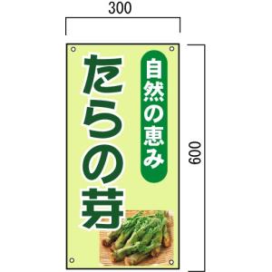 ����̉�̔��@�R�ؒ������@�Ŕ@600�~300mm�@