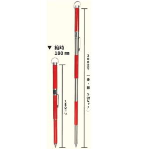 ���ʗp �|�P�b�g�s���|�[���@10�{�Z�b�g