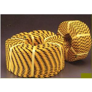 �g�����[�v�@��9�i���a�����悻9mm�j�@�����@100m�����@�W�����[�v