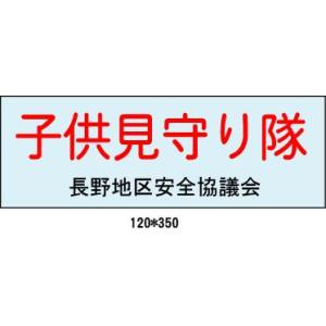 �ԗ��p���̓}�O�l�b�g�V�[�g�@�ٕ����S���}�O�l�b�g�@���̓S�����΁@��������@120mm�~350mm