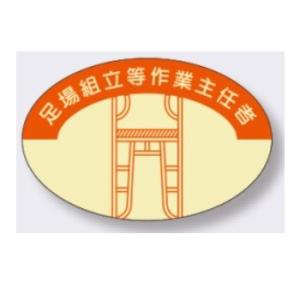 �w�����b�g�p�X�e�b�J�[�@����g������Ǝ�C�ҁy����300�~ �䂤�p�P�b�g�Ή��z��Ǝ�C�җp 816