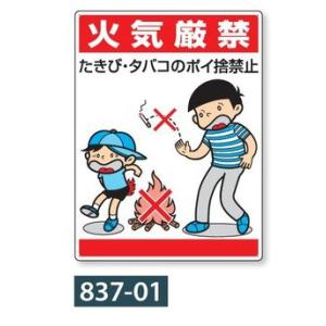 �u�΋C���ցv�@�����C���X�g�W���@837-01�@600�~450mm