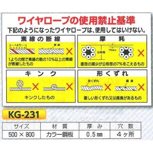 ���C���[���[�v�̎g�p�֎~��@KG-231