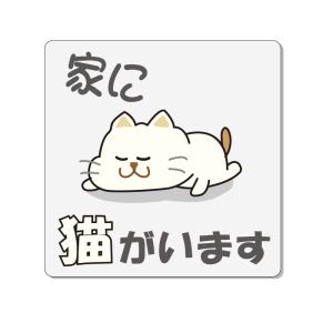 �ƂɔL�����܂��@�s�N�g�T�C�� 150�~150mm �A���~������ t-3mm(���ʃe�[�v�t)�y����300�~�@�䂤�p�P�b�g�Ή��z