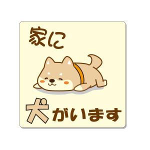 �ƂɌ������܂��@�s�N�g�T�C�� 150�~150mm �A���~������ t-3mm(���ʃe�[�v�t)�y����300�~�@�䂤�p�P�b�g�Ή��z