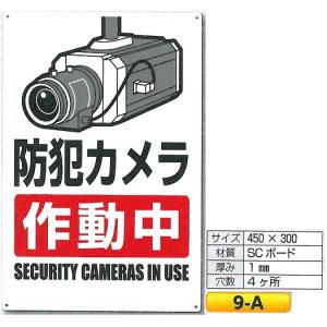 �h�ƃJ�����쓮���W���@