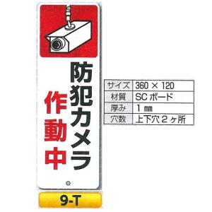 �h�ƃJ�����쓮���W���@9-T