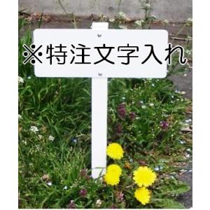 ���ĎD�ŔE�ē��@��������@�؍Y�t�@300�~120mm