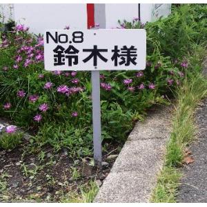 ���ĎD�ŔE�ē��@��������@�S�Y�t�@300�~150mm�@��