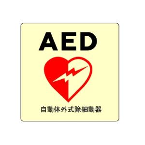 AED�@�����̊O�����ד���@�s�N�g�T�C�� �X�e�b�J�[�^�C�v�@100�~100mm�y����300�~�@�䂤�p�P�b�g�Ή��z