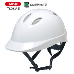 ���]�ԗp�w�����b�g�@�@TS-06