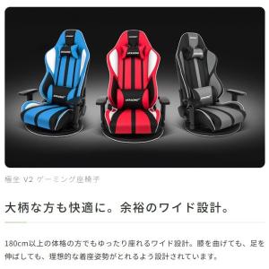 AKRacing ゲーミング 座椅子 Pro-...の詳細画像5