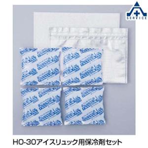 熱中症対策 グッズ アイスリュック用保冷剤 HO-301
