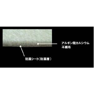 プラスモイストヘモスタパッド 【エコノミーポス...の詳細画像1