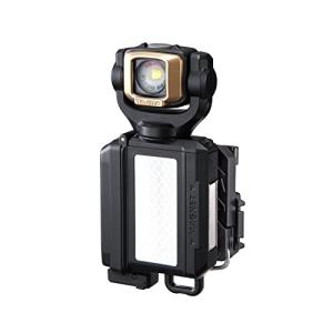 TJMデザイン タジマ(Tajima) LEDセフ着脱式ライトSF501Dセット LE-SF501D-SP 専用充電池付 黒金