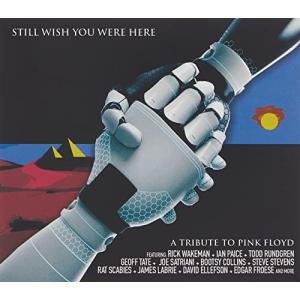 Pink Floyd Tribute: Still Wish You Were Here/Variousの商品画像