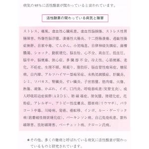 抗酸化食品AOBの詳細画像5