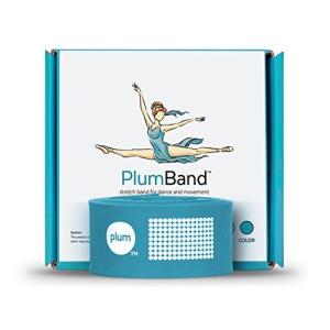 Plum プラムバンド  ストレッチバンド ダンス& バレエ用 - 子供 & 大人用の色とサイズ -  Sサイズ スカイブルー ( レギュラー)｜aobashop