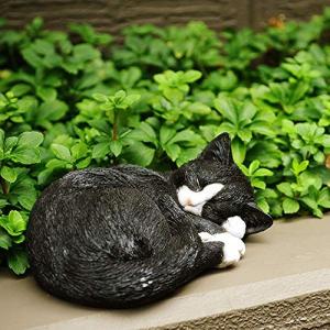 【新着商品】野川農園眠り猫B(茶トラ) 野川農園眠り猫B (茶トラ) - 最安値・価格比較 - Yahoo!ショッピング