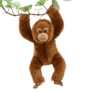 オラウータン ぬいぐるみの商品一覧 通販 Yahoo ショッピング