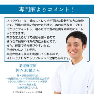 anan掲載モデル ネックピロー ストレートネ...の詳細画像2