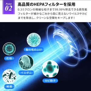 Dyson ダイソン 交換用 2個 セット 掃...の詳細画像4