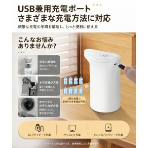 家庭用浄水器 ポット型 蛇口直結型 据え置き型...の詳細画像1