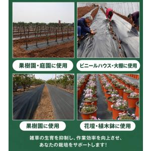 防草シート 除草シート 雑草シート 防草資材 ...の詳細画像4