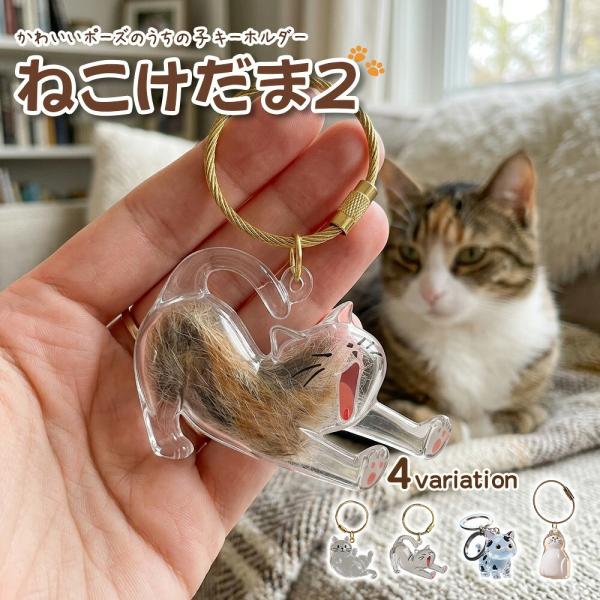 ねこけだま 猫毛玉入れ 猫毛保存ケース 猫好き ペット毛収納ボトル メモリアルグッズ 猫の毛キーホル...