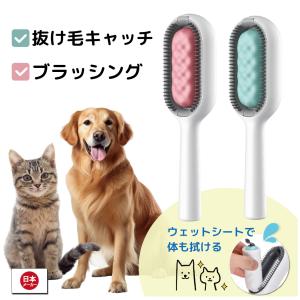 猫 ブラシ 水ブラシ 抜け毛 換毛期 犬 猫 両用 送料無料 グリーン