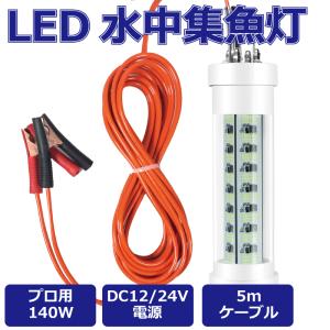 集魚灯 集魚ライト 水中集魚灯 200W DC12V LEDフィッシュライト イカ