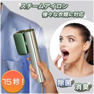 15秒 スチームアイロン 衣類アイロン シワ伸ばし ハンガーにかけたまま 送料無料｜aoderi