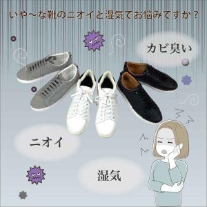 竹炭八方 靴用 1セット 繰り返し使える 湿気...の詳細画像1