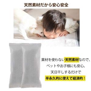 竹炭八方 靴用 1セット 繰り返し使える 湿気...の詳細画像4