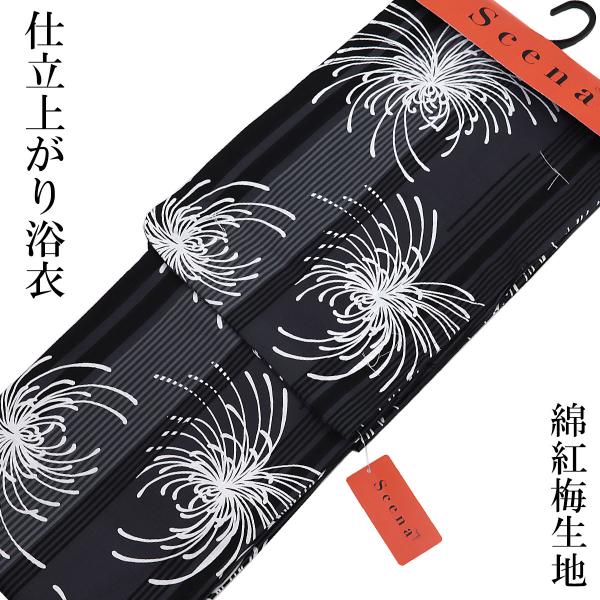 仕立て浴衣 レディース -3A- 墨黒/乱菊 Scena 乱紅梅 綿100% Free-Size