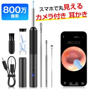 耳かき 耳掃除 耳垢 掃除 イヤースコープ 防水...の商品画像