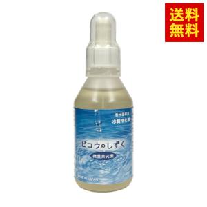 ピューレタイプ 1箱（750ml×4本） モリンダ トゥルーエイジ : ノニ