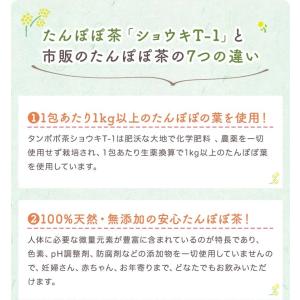 たんぽぽ茶 ショウキt 1プラス お試し3袋 不妊 妊婦 お茶 正規店 赤ちゃん ノンカフェイン ショウキt1 漢方 授乳 飲み物 妊娠中 タンポポ茶 妊活 ショーキt1 母乳