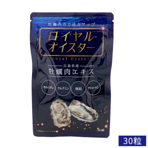 アルタイのNS乳酸菌 60粒 NS-Dx 腸活 乳酸菌 サプリメント : OSK store