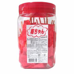 よっちゃん酢いか 40入 駄菓子 子供会 景品 お祭り くじ引き 縁日