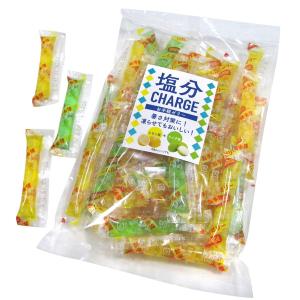 塩分チャージゼリー レモン&ライチ 500g 駄...の商品画像