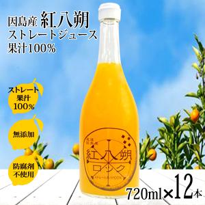レモン果汁 国産 ストレート 100% 720ml×1本 無添加 ノーワックス 防腐