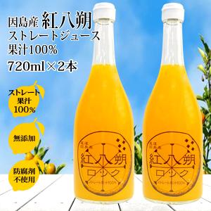 レモン果汁 国産 ストレート 100% 720ml×1本 無添加 ノーワックス 防腐
