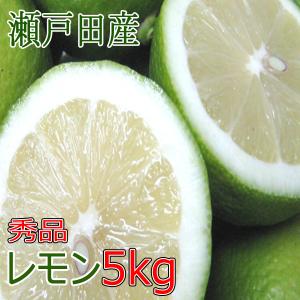 レモン 秀品 10kg 国産レモン 瀬戸内レモン 瀬戸田レモン ロックレモン