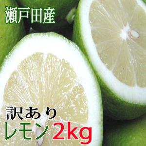 【期間限定価格】レモン 国産レモン 訳あり 2kg ノーワックス 防腐剤不使用 瀬戸田レモン ロックレモン 家庭用 訳ありレモン グリーンレモン