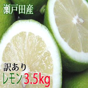 レモン 訳あり 3.5kg 国産レモン 瀬戸内レモン 瀬戸田レモン 訳ありレモン わけあり ノーワックス 防腐剤不使用 有機肥料使用 減農薬栽培